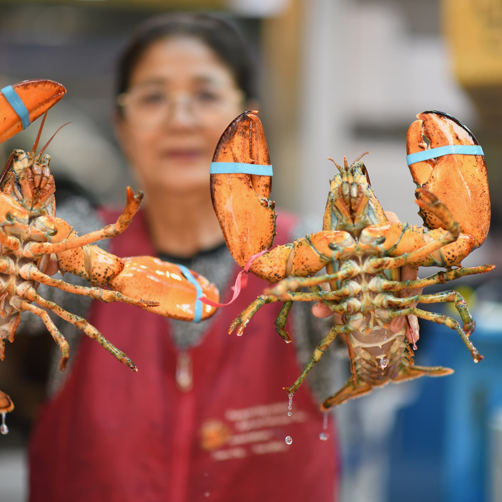 Catch and Cook